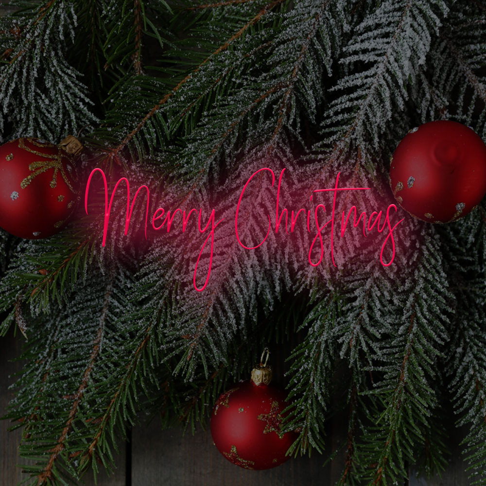 Merry Christmas LED neon sign